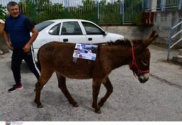 Αγρότης ψήφισε μαζί με τα άλογα και τα γαϊδούρια του στο Ναύπλιο